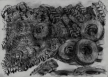 "Reifen 2” Kohle auf grauem Papier, ca. 30 x 42 cm, 2017